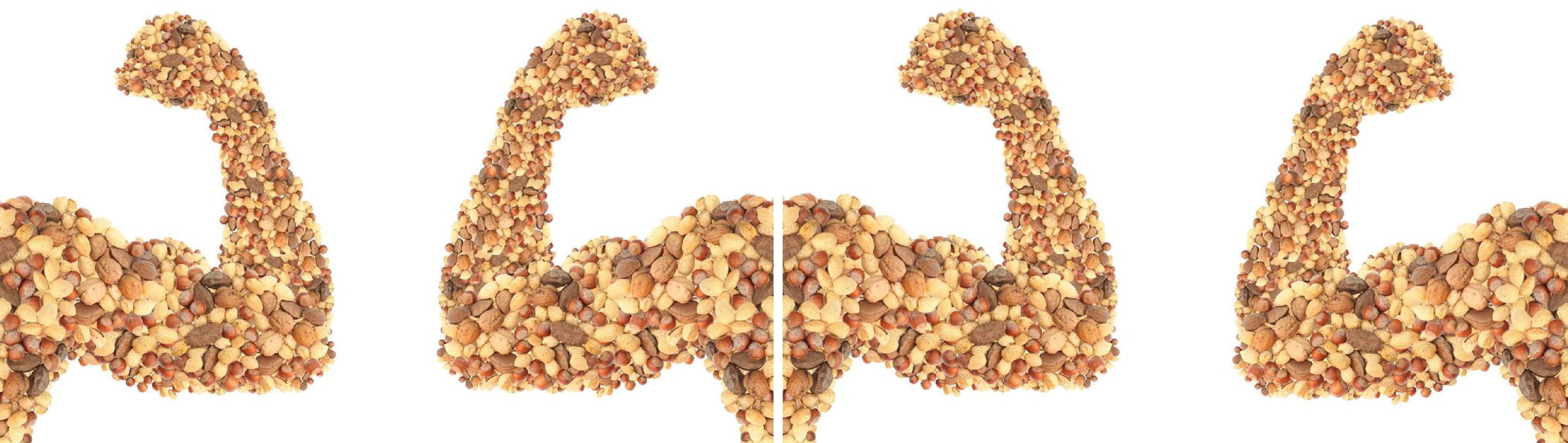 فیبر (FIBER)