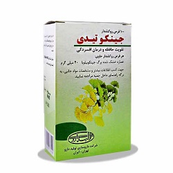 قرص جینکو تیدی تولید دارو 100 عدد