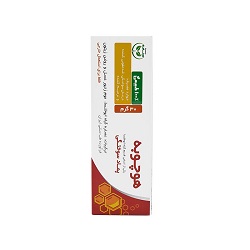 پماد سوختگی هوچوبه سینامه 30 گرم