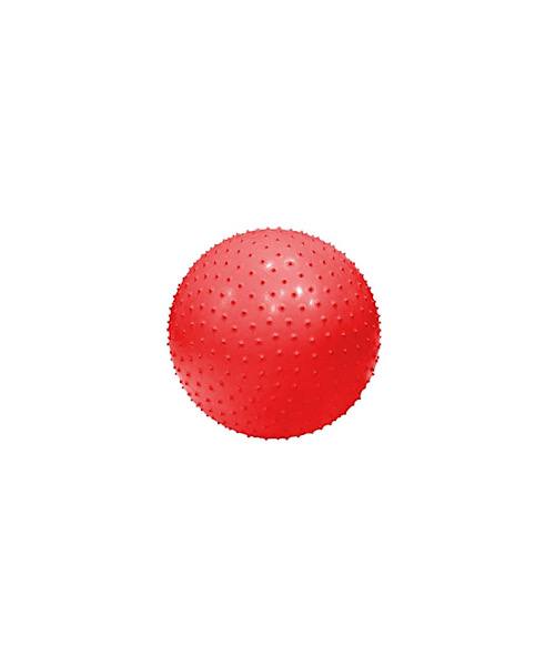 توپ فیزیولوژی طرح متنوع